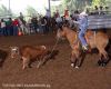 THS1025-_8837_billybobBROWN.jpg