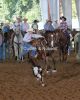 THS925-_1067_billybobBROWN.jpg