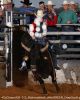 4CsClassic426-_013_65almostblack_allenGREEN_DeepSouth.jpg