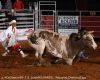 z_4CsClassic426-_219_dustinRICHARDS_14straycat_DiamondS.jpg