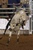 4Cs_Futurity226-001_550_seanPORTER.jpg