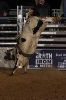 4Cs_Futurity226-080_M49_Pazazz_TheJaynesGang_DavidSimpson.jpg