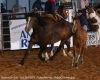 Belton26-Sat-_103_BAILEY_FunnyMoney_BabyCracker.jpg