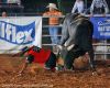Clovis26-Tpm-_120_bobbyDURAN.jpg