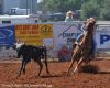 Clovis26-Wam-_100_bryceHOWE.jpg