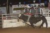 DosAmigos26-_113_scottyCOX.jpg