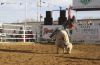 DosAmigos26-_044_davidHIGH.jpg