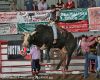 GlenRose26-F-4432_samGALLAHER.jpg