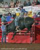 GlenRose26-Sat-4591_aaronWALKER.jpg