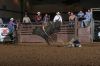 NBBAFinals926-327_32jacksshadow_johnMASSUCCI_JAMRanch_bradenCAZARES.JPG