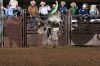 NBBAFinals926-568_116shakedown_donBROWNBuckingBulls_jimmyANDERSON.JPG
