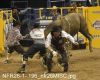 NFR26-1-_196_nfr26MISC.jpg