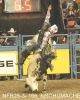 NFR26-3-_166_bjSCHUMACHER.jpg