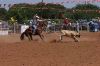 Sville26-T-_227_steveROSS.jpg