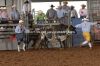 AJRA27-SG-246_patrickHAMMETT.jpg
