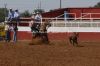 Clovis27-Tam-096_seaverTATE.jpg
