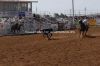 Clovis27-Wam-122_jarrettPARSON.jpg