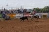 Clovis27-Fam-113_lindseySHARP.jpg
