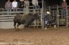 Corpus27-TH-_167_ryanWILSON.jpg