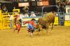 NFR27-2-206_darrellDIEFENBACH.jpg