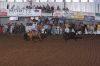 GlenRose228-W-118-mickeyGOMEZ.jpg