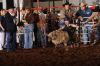 GlenRose329-TH-004_jacksonMILLER.jpg