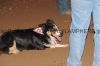 GlenRose329-F-004_ted_dalLAMPHERE.jpg