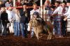 GlenRose329-Sat-004_kyleVAHLENKAMP.jpg