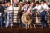 GlenRose329-Sat-010_ellaMORRIS.jpg