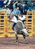 152-4c_codyLAMBERT_NFR_Las_Vegas_NV_1989.jpg