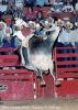 3004-13c_tyMURRAY__Houston_Tx_1994.jpg