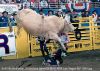 3141-8c_Andrews__Bodacious_aaronSEMAS_NFR_Las_Vegas_NV_1994.jpg