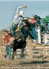 9865-28ac_laneFROST_SanAngelo_Tx_1989_Altizer_HO_TakenCareofBusiness.jpg