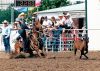 5609-28ac_codyOHL_windy_Ryon_Roping_Saginaw_Tx_1999.jpg